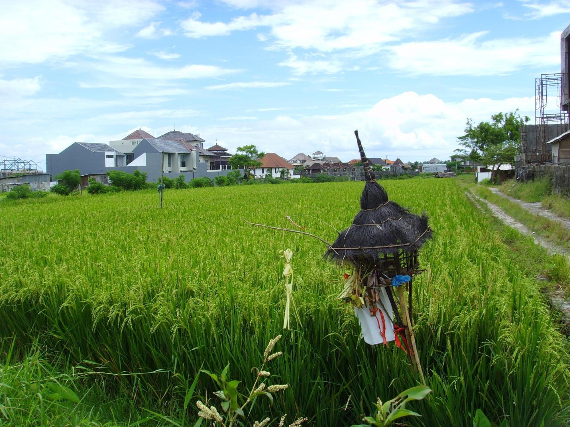 Jonsen Homestay Canggu  Exterior photo